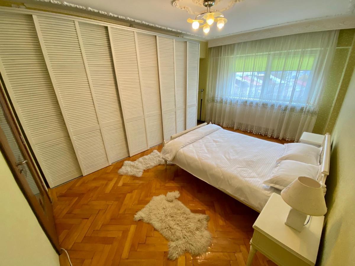 Downtown Apartment クラヨーヴァ エクステリア 写真